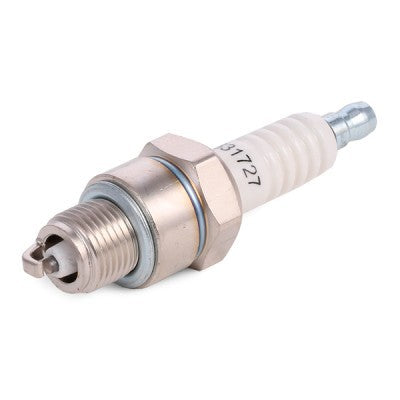 "Candela di accensione per Renault 4 d'epoca, alta qualità per prestazioni affidabili. Ricambio ideale per restauri e manutenzione di veicoli storici