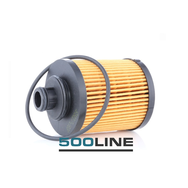 Filtro olio Fiat nuova 500 1.3 Multijet D (312)